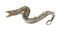 Aribern