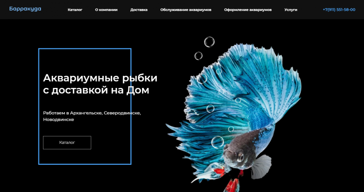 Аквариумные рыбки с доставкой на дом/Обслуживание аквариумов