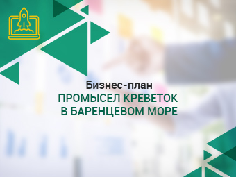 Бизнес план Промысел креветок в Баренцевом море