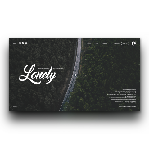 Website concept