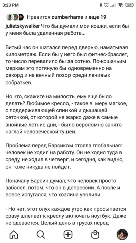 История об очень чувствительном котике