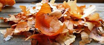 Польза луковой шелухи