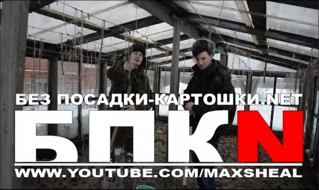 Клип БПКН