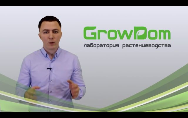 РЕКЛАМА - Growdom, ролик на сайт