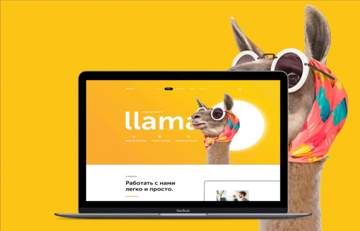 landing page "llama"