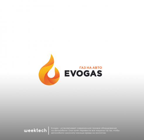 Разработка логотипа для компании по установке современного газов