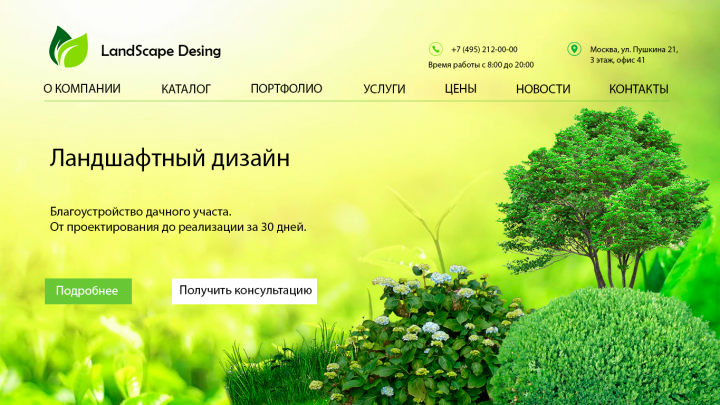 Ландшафтный дизайн