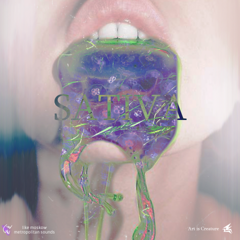 Концепт арт SATIVA