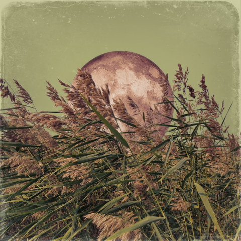 Иллюстрация MOON