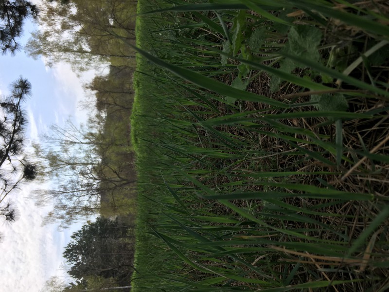 pic4090933.jpg