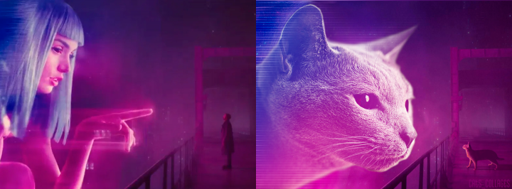 Коллаж с котом к фильму "Бегущий по лезвию 2049"