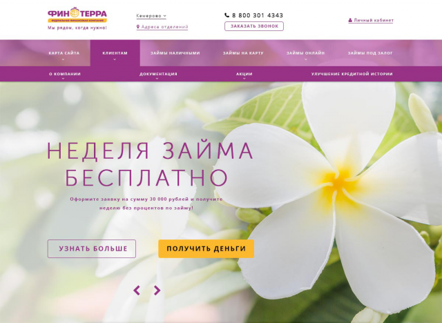 Главная страница сайта компании "ФинТерра".