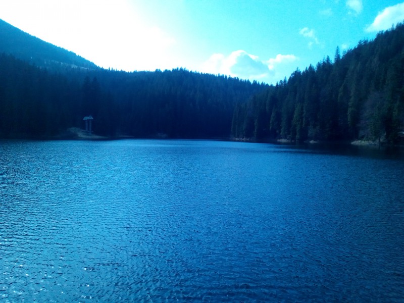 pic3669338.jpg
