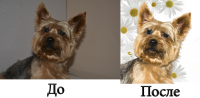 Работа 2007000
