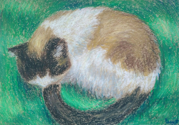 Спящая кошка