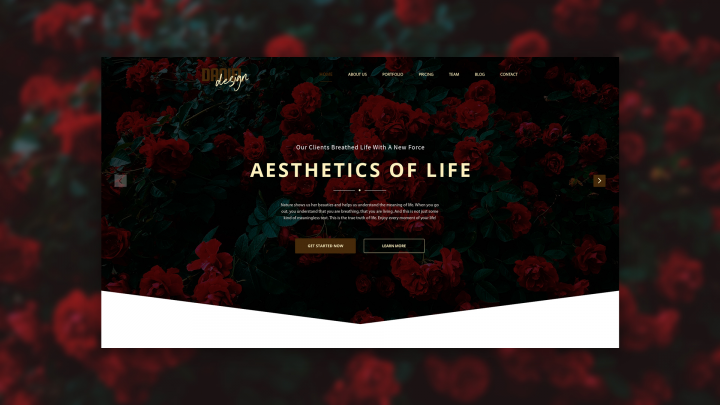 Aesthetics Of Life