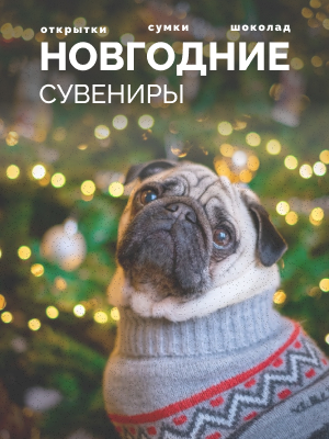 Маленький баннер в слайдер