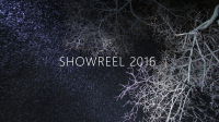 Шоурил 2016