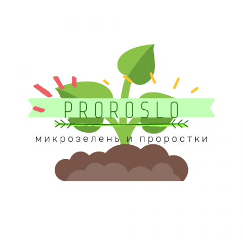 Logo для магазина Proroslo