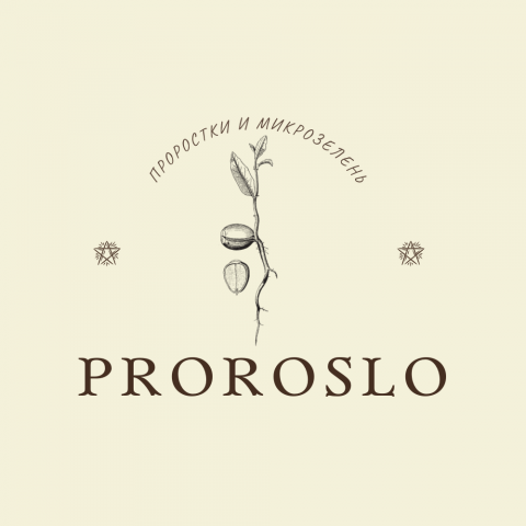 Logo для магазина Proroslo