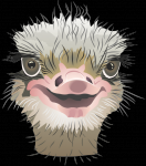 Работа 2704238