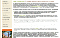 Основные принципы правильного питания