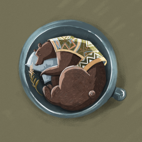 Bear