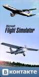 Microsoft Flight Simulator