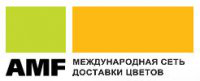 Видеоролик, AMF