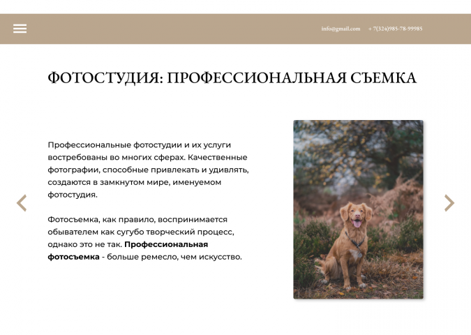 Дизайн фотостудии