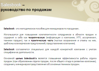 разработка Salesbook
