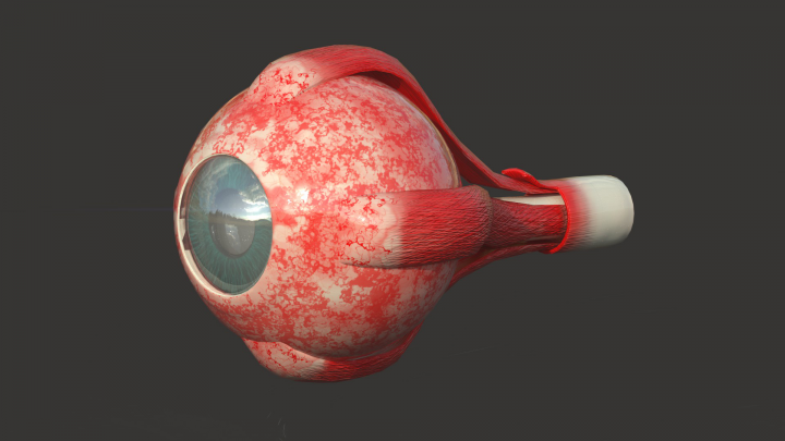 Eye AR asset