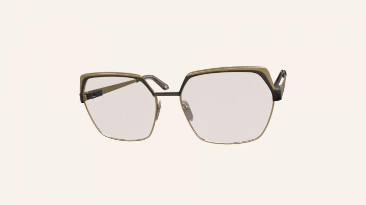 Glasses