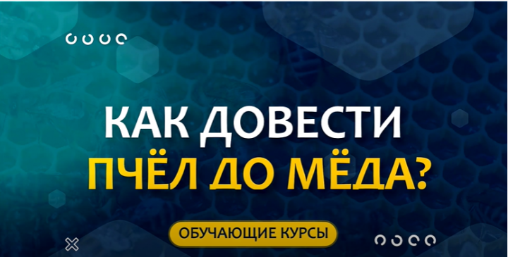 Пчеловодные курсы