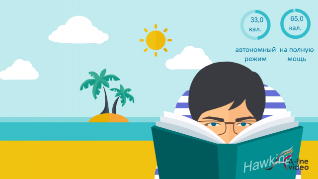 Анимация в качестве подарка.  (инфографика)