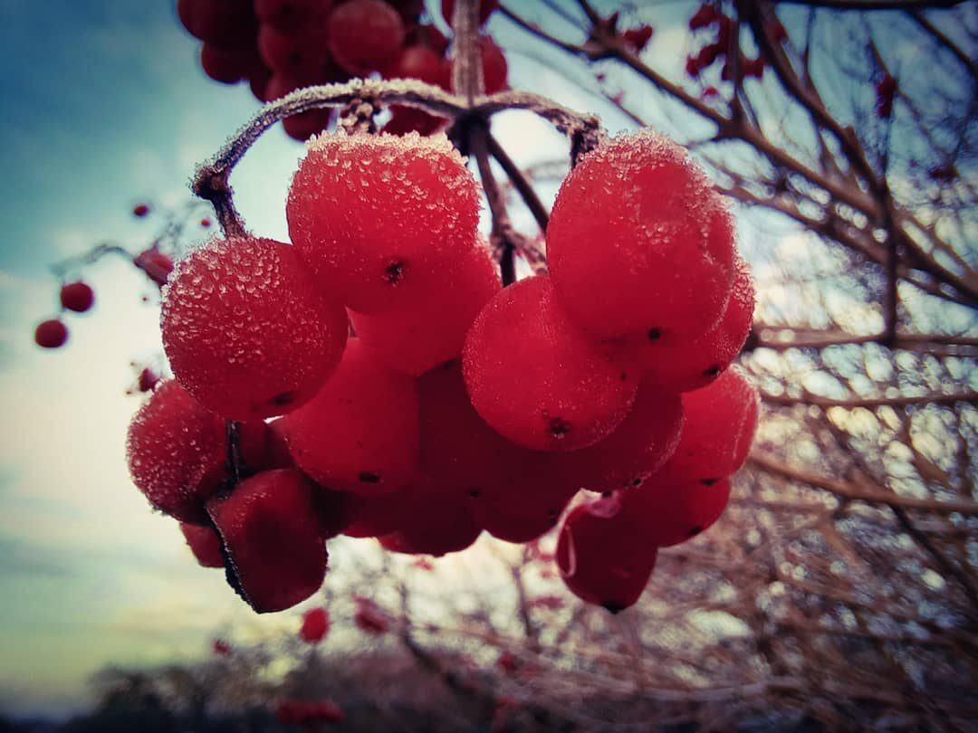 pic4071079.jpg