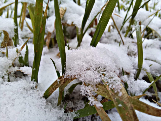 Работа 4071078