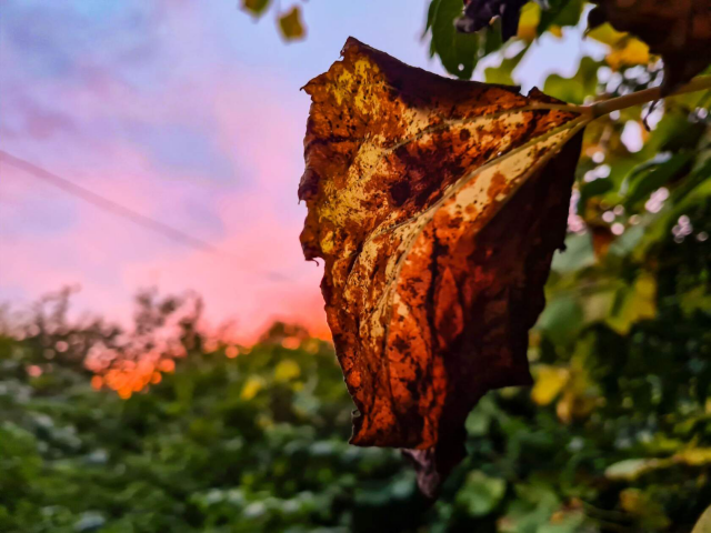 Работа 4071059