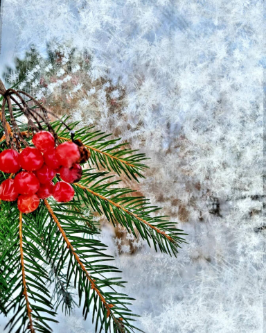 Работа 4071058