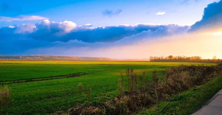 Работа 4071062