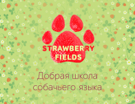 stawberryfields