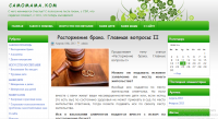 Сайт. Платформа WordPress