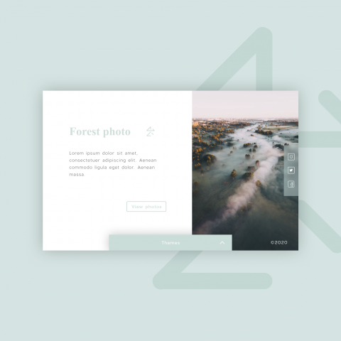 Forest photos