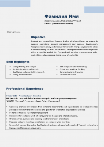 CV English language