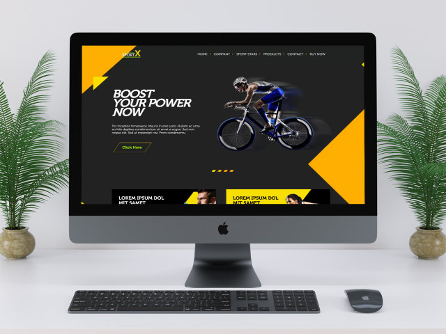 SportX