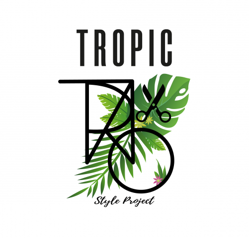 Style Project logo
