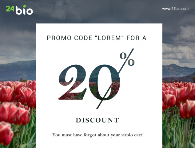 E-mail рассылка (с промокодом на скидку 20%)