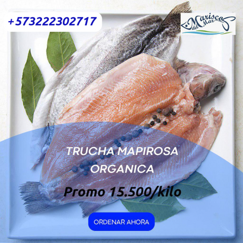 Работа 3972323