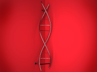 Работа 1637481