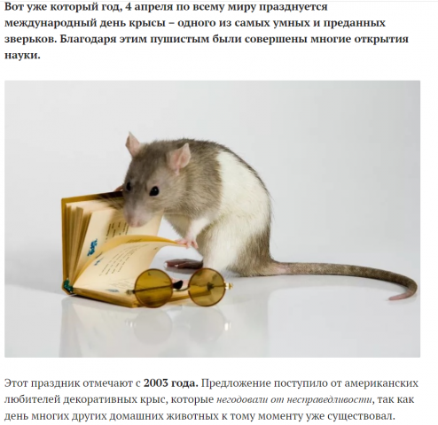 Международный день крысы